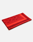EP YAYING Double-Sided Silk Velvet Shawl