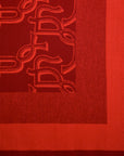 EP YAYING Double-Sided Silk Velvet Shawl