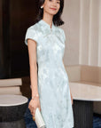 YAYING Chinese-style Dress