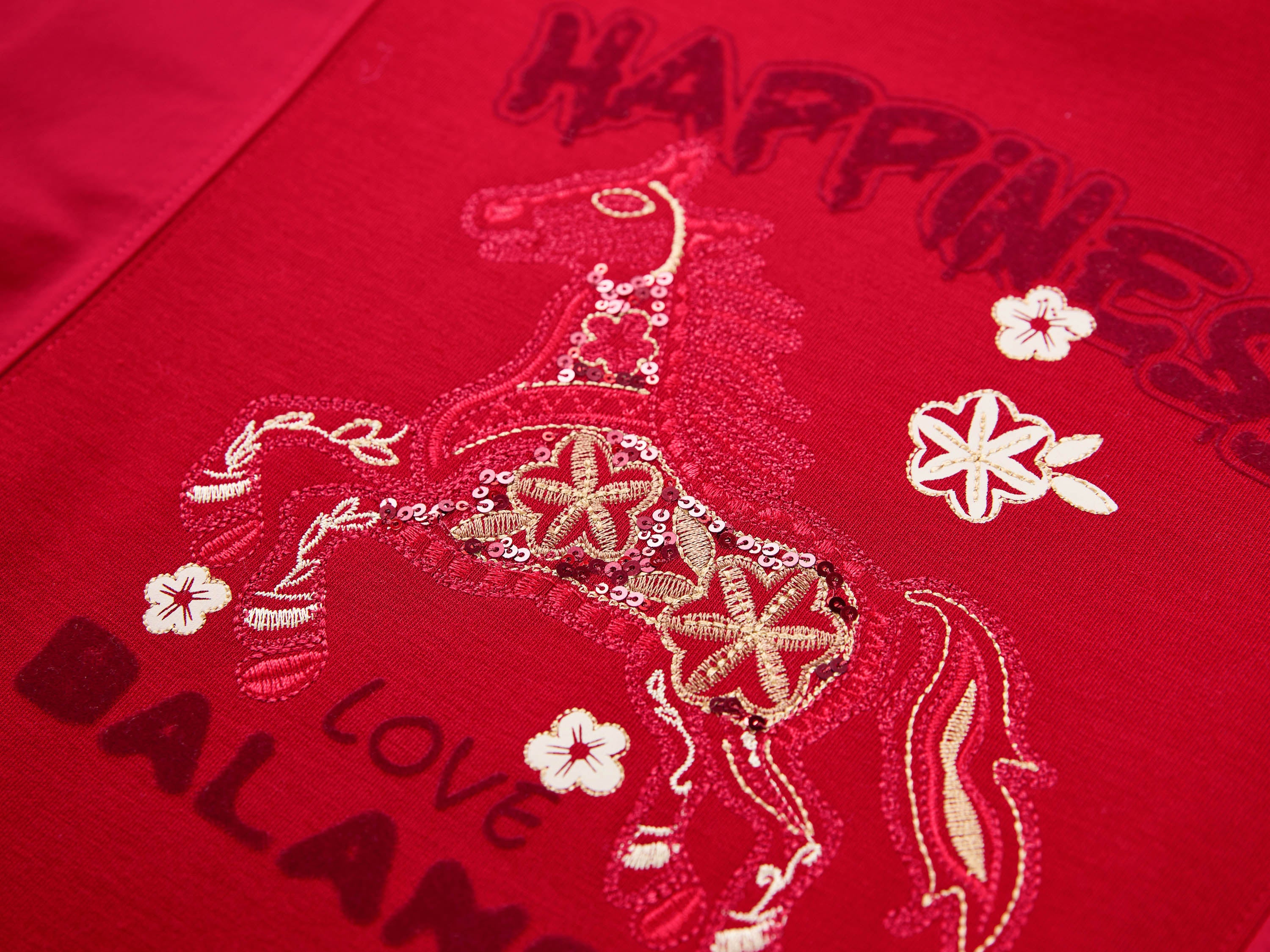 EP YAYING Craft Embroidered Zodiac Horse Hooded Sweatshirt