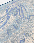 Silk Wool Blend Phoenix Peony Double-Sided Print Blueed Scarf