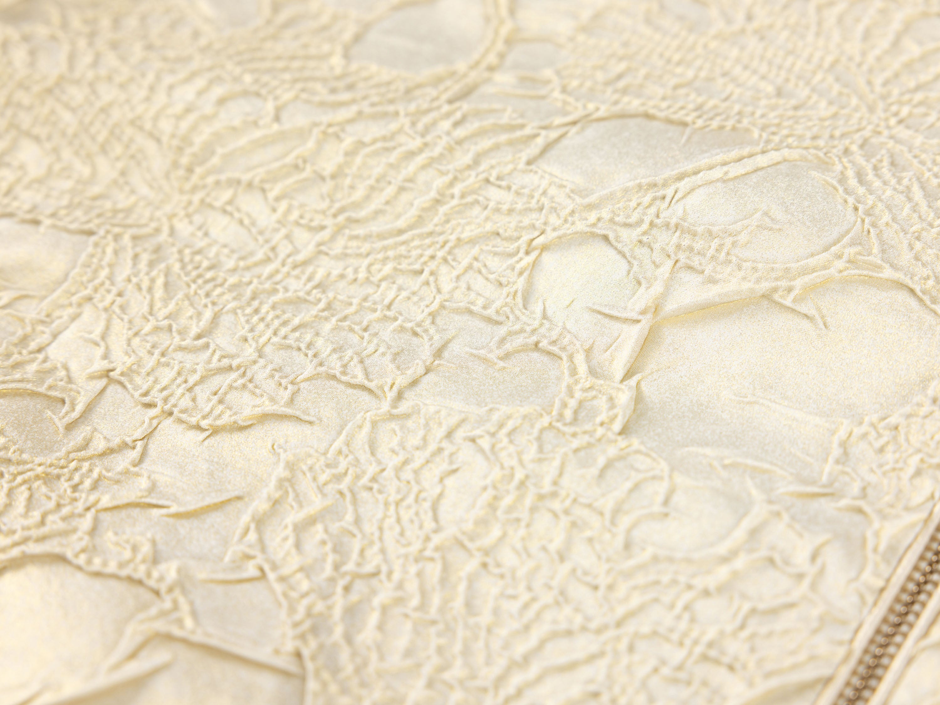 YAYING Beige Lace Button Jacket