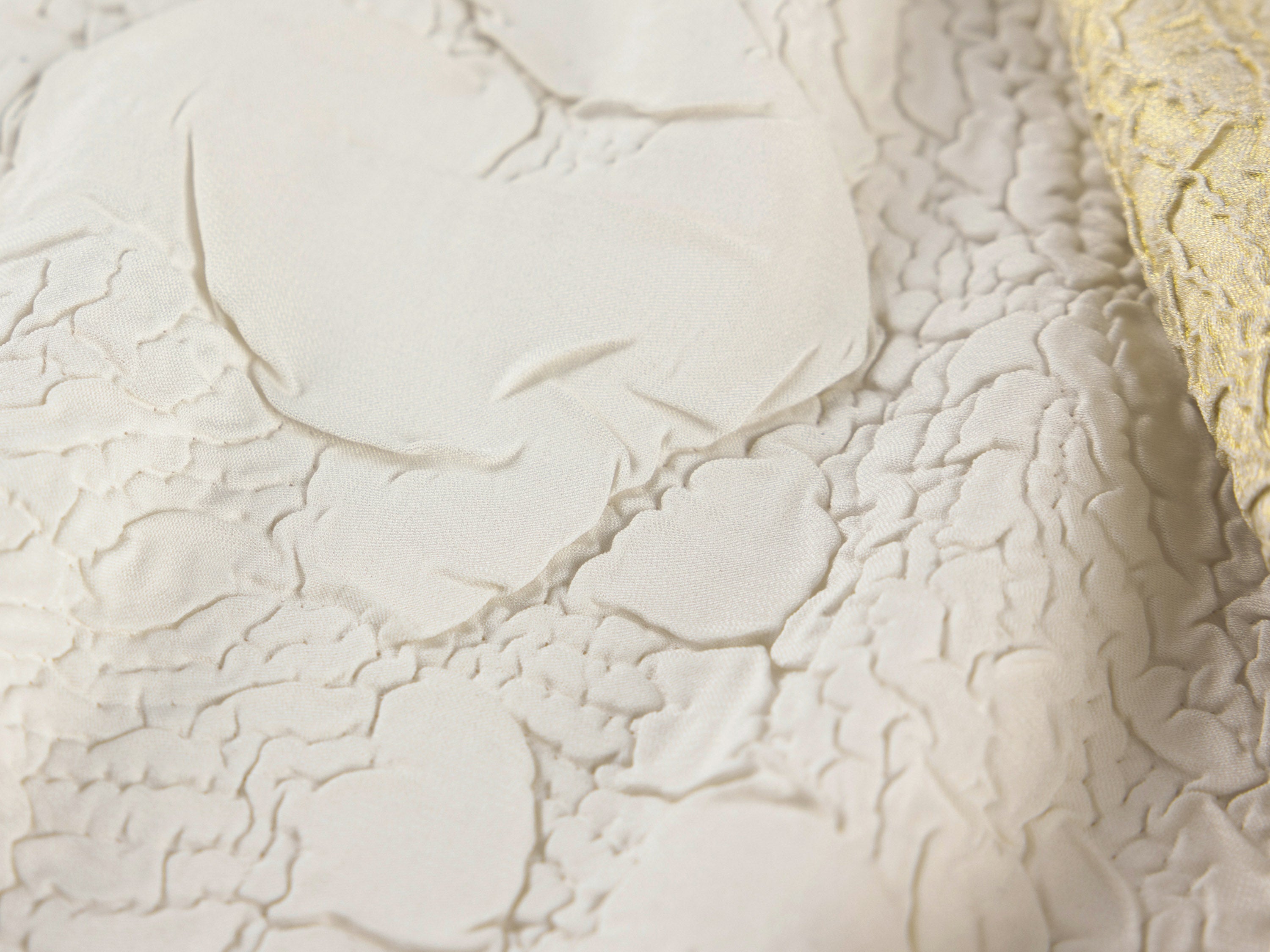 YAYING Beige Lace Button Jacket